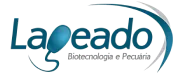 11-lageado.webp
